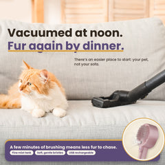 Orange cat on a couch beside a vacuum, with the HelloBrelio brush to help reduce fur